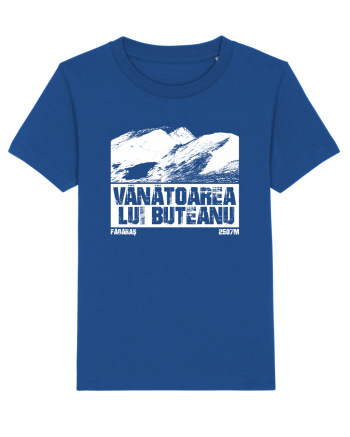 Călător în România - Vf Vânătoarea lui Buteanu Majorelle Blue