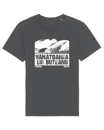 Călător în România - Vf Vânătoarea lui Buteanu Anthracite
