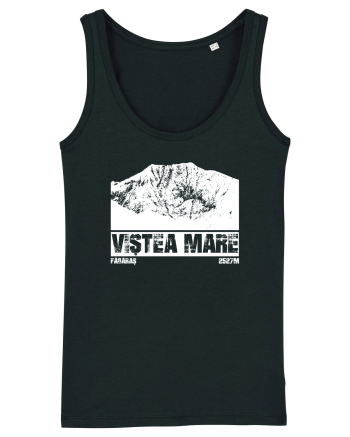 Călător în România - Vf Viștea Mare Black