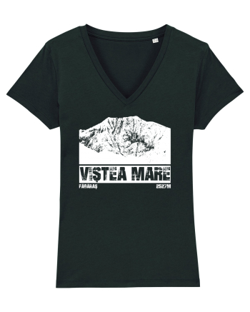 Călător în România - Vf Viștea Mare Black