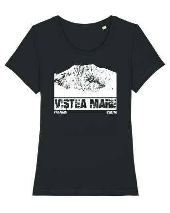 Călător în România - Vf Viștea Mare Black