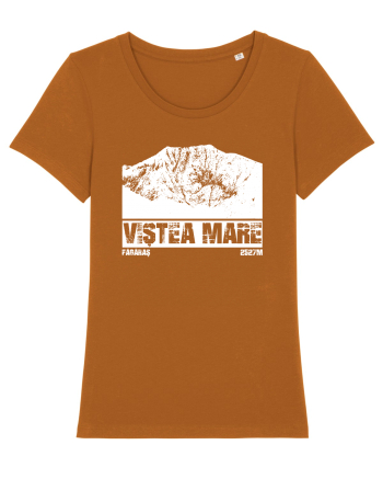 Călător în România - Vf Viștea Mare Roasted Orange