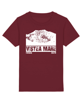 Călător în România - Vf Viștea Mare Burgundy