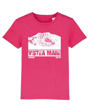 Călător în România - Vf Viștea Mare Raspberry