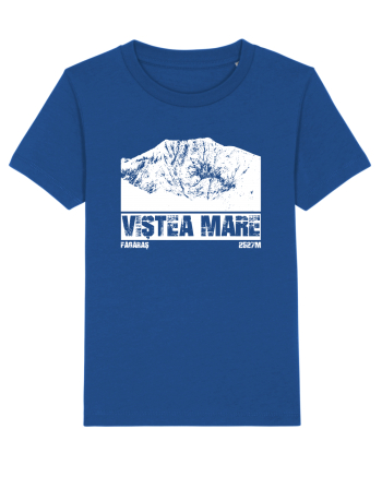 Călător în România - Vf Viștea Mare Majorelle Blue