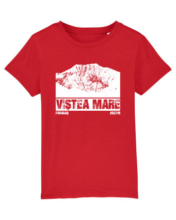 Călător în România - Vf Viștea Mare Red