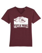 Călător în România - Vf Viștea Mare Tricou mânecă scurtă guler V Bărbat Presenter