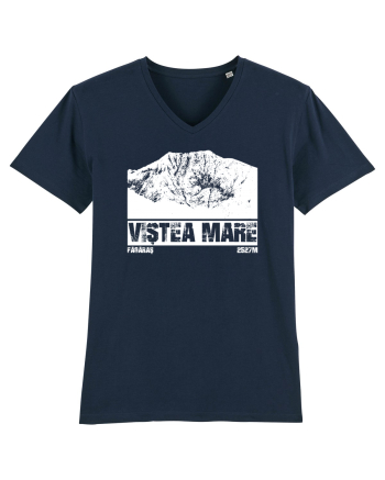 Călător în România - Vf Viștea Mare French Navy
