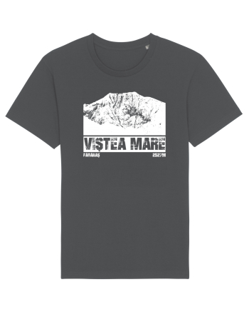 Călător în România - Vf Viștea Mare Anthracite