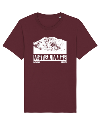 Călător în România - Vf Viștea Mare Burgundy