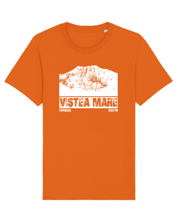 Călător în România - Vf Viștea Mare Bright Orange
