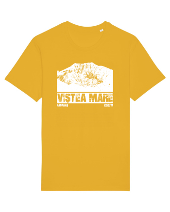 Călător în România - Vf Viștea Mare Spectra Yellow