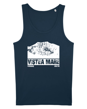Călător în România - Vf Viștea Mare Navy