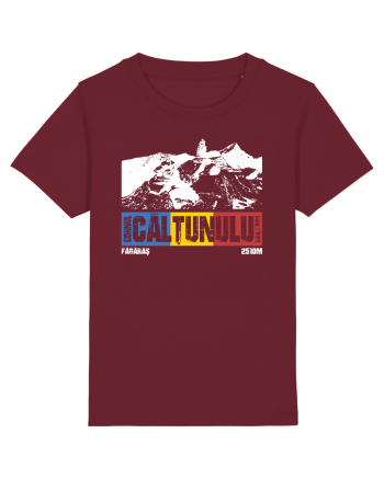 pentru montaniarzi - Romania - Cornul Caltunului Burgundy