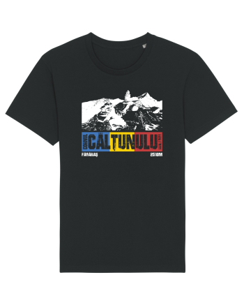 pentru montaniarzi - Romania - Cornul Caltunului Black