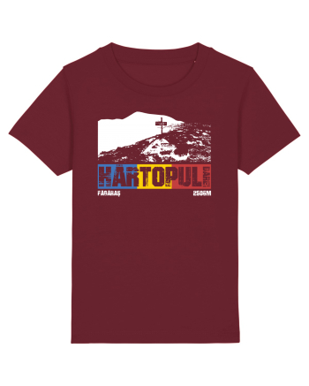 pentru montaniarzi - Romania - Hartopul Darei Burgundy
