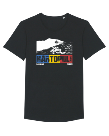 pentru montaniarzi - Romania - Hartopul Darei Black