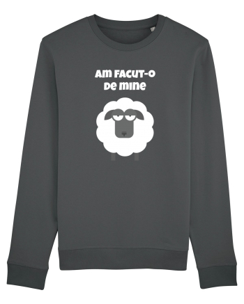 Am facut-o de oaie Anthracite