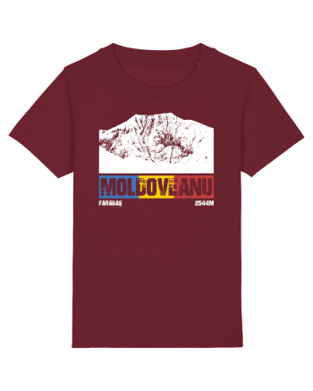 pentru montaniarzi - Romania - Moldoveanu Burgundy