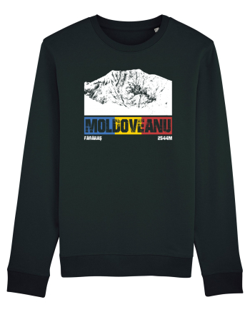 pentru montaniarzi - Romania - Moldoveanu Black