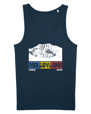 pentru montaniarzi - Romania - Moldoveanu Navy