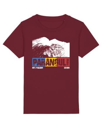 pentru montaniarzi - Romania - Parangul mare Burgundy