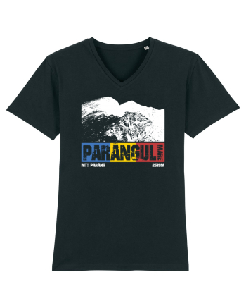 pentru montaniarzi - Romania - Parangul mare Black