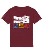 pentru montaniarzi - Romania - Peleaga Tricou mânecă scurtă  Copii Mini Creator