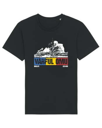 pentru montaniarzi - Romania - Vf Omu Black