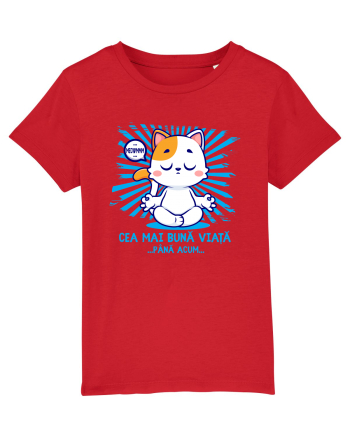 CEA MAI BUNA VIATA ... pana acum (MEOWMMM - pisica yoga) Red