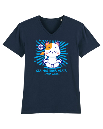 CEA MAI BUNA VIATA ... pana acum (MEOWMMM - pisica yoga) French Navy