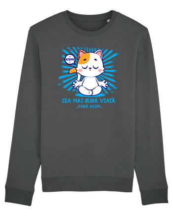 CEA MAI BUNA VIATA ... pana acum (MEOWMMM - pisica yoga) Anthracite