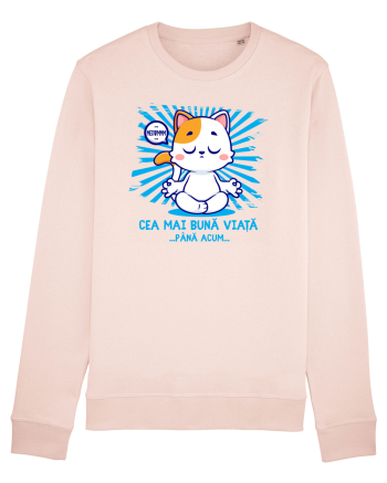 CEA MAI BUNA VIATA ... pana acum (MEOWMMM - pisica yoga) Candy Pink