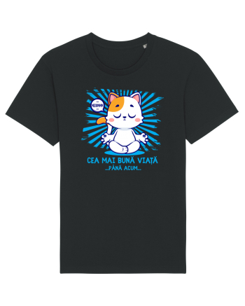 CEA MAI BUNA VIATA ... pana acum (MEOWMMM - pisica yoga) Black