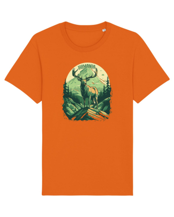 ROMANIA - ENGLISH Bright Orange