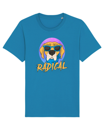 RADICAL Azur