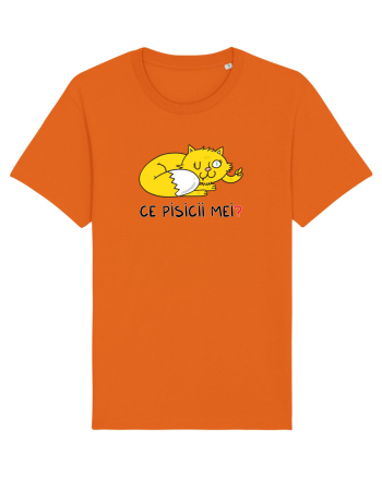 Ce pisicii mei Bright Orange