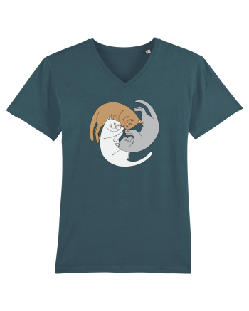 Spiral cats Stargazer