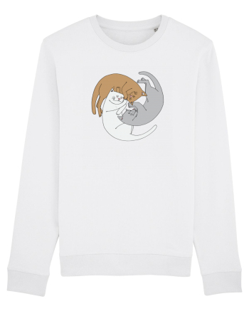 Spiral cats White