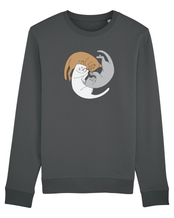 Spiral cats Anthracite
