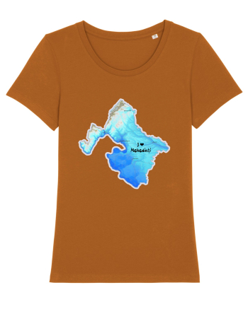 Mehedinți County Map Roasted Orange