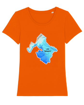 Mehedinți County Map Bright Orange