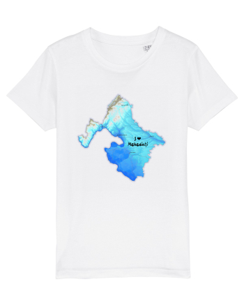 Mehedinți County Map White