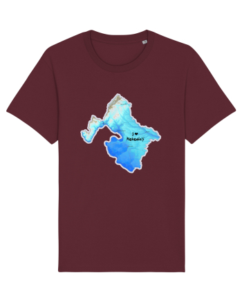 Mehedinți County Map Burgundy