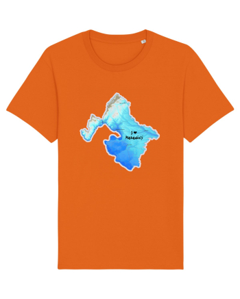 Mehedinți County Map Bright Orange