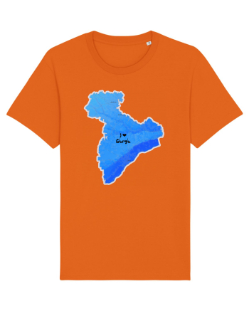 Giurgiu County Map Bright Orange