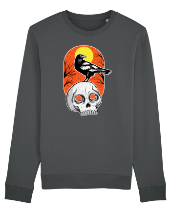Halloween Pumpkin And Black Crow Anthracite