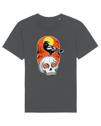 Halloween Pumpkin And Black Crow Anthracite