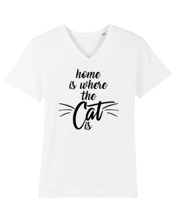 Home is where the cat is White
