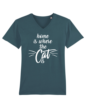 Home is where the cat is Stargazer